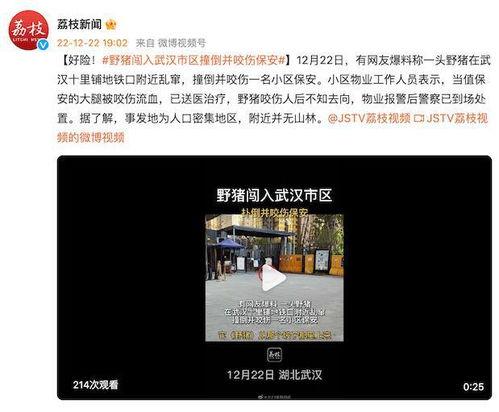 爆料武汉视频,揭秘城市真实面貌
